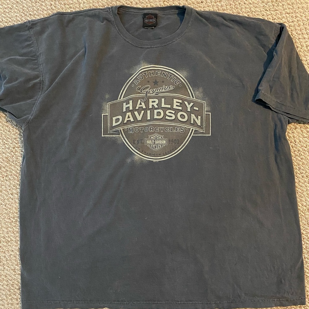 Harley-Davidson Men's Gray 3XL  T-Shirt